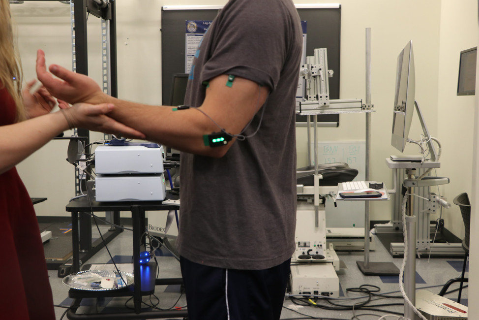 Brains and brawn How the brain controls muscular contractions in